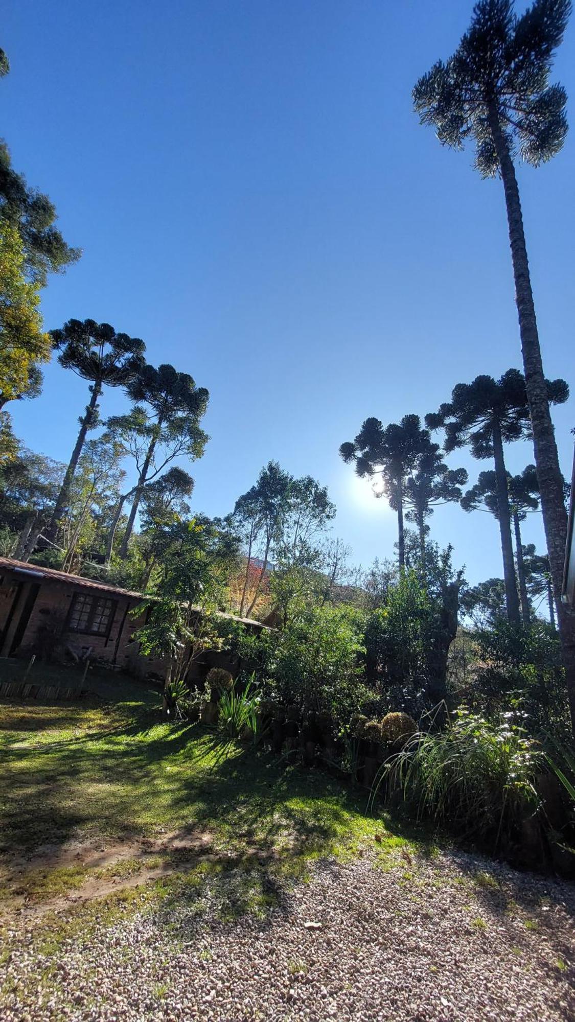 Chalés Fora de Estrada Campos do Jordão Exterior foto