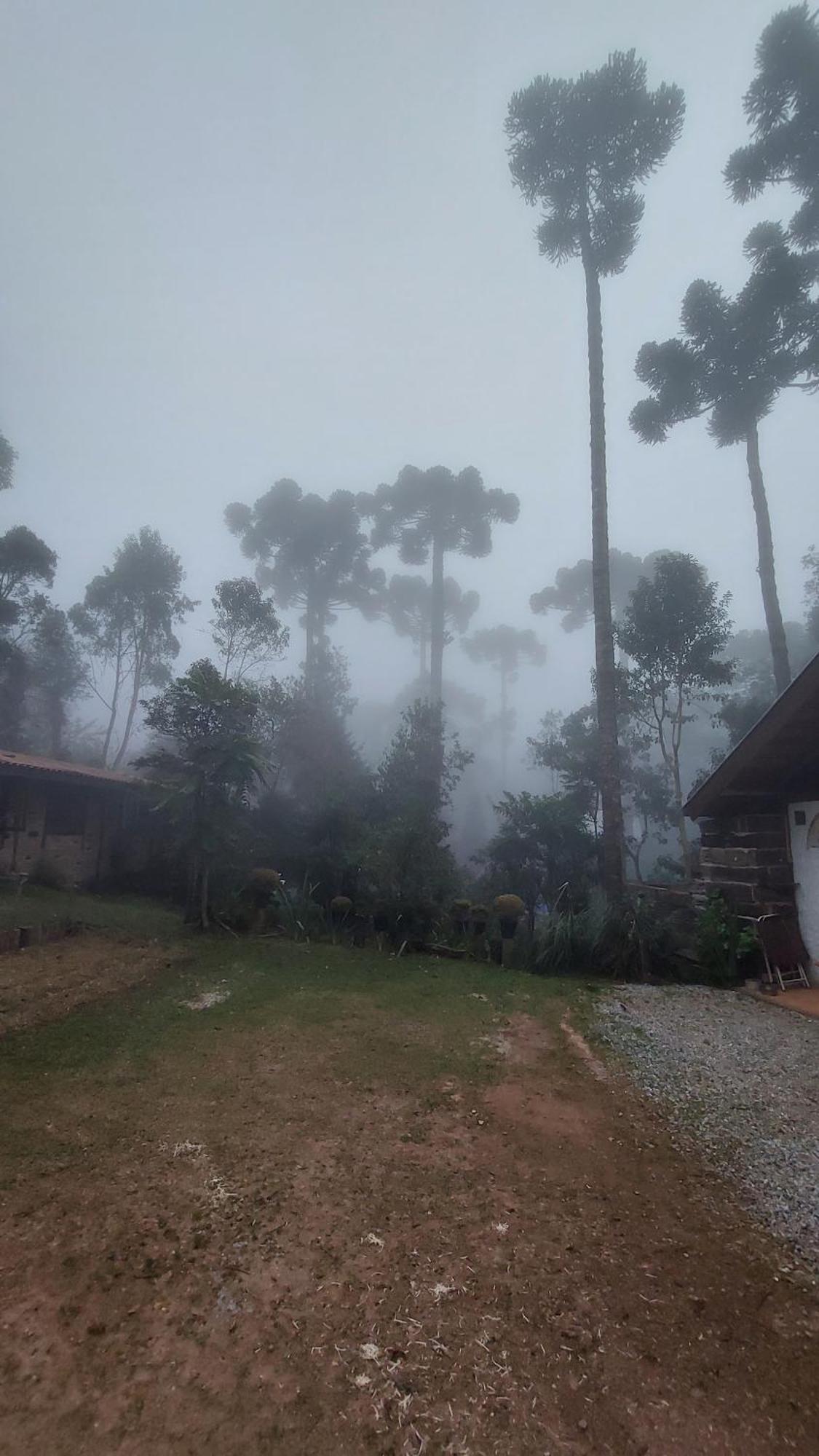 Chalés Fora de Estrada Campos do Jordão Exterior foto